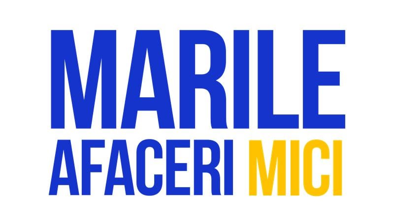 marile afaceri mici